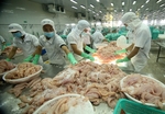 Australia's seafood import rules tightened