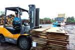 Chinese buyers depleting VN’s raw lumber