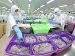 Saudi Arabia asks meat exporters to register online
