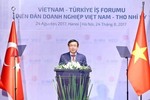 Room to develop VN-Turkey ties