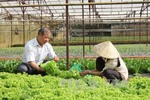 VN plans 500 hi-tech agricultural cooperatives by 2020