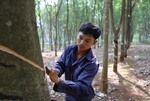 Vietnam Rubber Group to reduce output