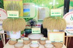 Viet Nam’s rice trademark unveiled at festival