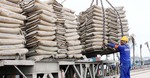 Cement consumption on the rise