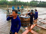 US to inspect Viet Nam catfish controls