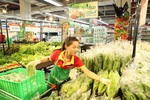 Vietnamese billionaires committed to agricultural development, helping farmers