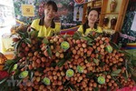 Thanh Ha litchi festival opens in Hai Duong