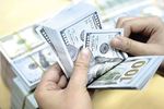 Financial experts urge caution against dollar loans