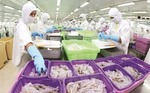 VASEP urges boosting shrimp exports to US