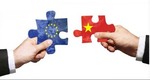 Brussels workshop focusses on EU-Viet Nam FTA