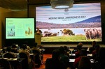 Merino Wool Awareness Day launched in Ha Noi