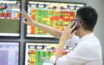 VN stocks struggle to remain up