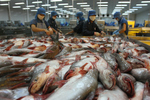 Mekong Delta enterprises upbeat