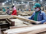 Increasing Chinese investment in wood industry concerns Vietnamese businesses