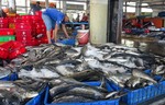 Fisheries sector strives to meet EC’s requirements