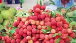 Lychee export value increases 126 per cent this year