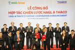 Thaco signs strategic deal with HAGL