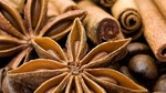 Spices could be nice export earner