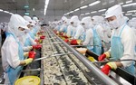 Minh Phu Seafood reports positive business results despite lower prices