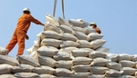 Viet Nam should improve rice quality in long-term strategy