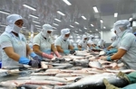 DOC announces review on anti-dumping duties on tra fish from Viet Nam