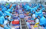 Seafood firms’ profits drag on weak exports
