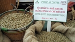 Coffee price crisis hits Vietnamese export value