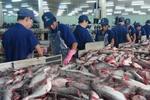 Export of tra fish expected to reach $2.06 billion this year