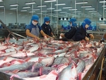 Seafood firm Vinh Hoan to pay dividend in shares