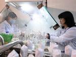 HCMC to establish links between laboratories, firms