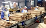 Report: 2018 was a successful year for the wood industry