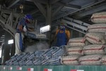 Cement, clinker demand to edge up this year