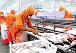 Viet Nam world’s fourth biggest seafood exporter