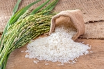 Sacombank assists rice production, trading with loans
