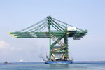 Viet Nam exports giant cranes to India