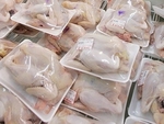 CP Viet Nam to export poultry products by 2020