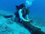 Internet affected by undersea cable breakdown