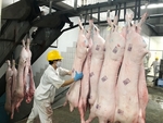 Pork closely monitored in HCMC