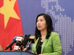 Viet Nam values partnership with US: spokesperson