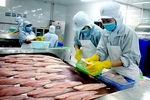 Pangasius exports to Southeast Asia up 14.6 per cent