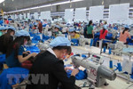 Japan firm plans plant in VN
