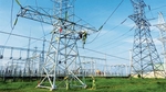 Provinces, experts call for allowing private capital in power grid construction