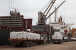 ​​​​​​Cement, clinker exports on track to reach yearly target