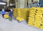 Viet Nam faces difficulties in rice exports