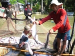 Fisheries sector to focus on standardising production next year for higher value