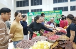 Spring Fair opens in Da Nang