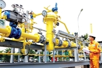 Japanese gas firm buys 21% in PV Low Pressure Gas