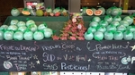 Vietnamese co-operatives export dragon fruit, pomelo to Canada