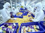 Investors see agricultural processing sector as ripe for plucking