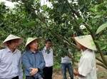 Public-private co-operation helps Mekong farmers overcome double challenge